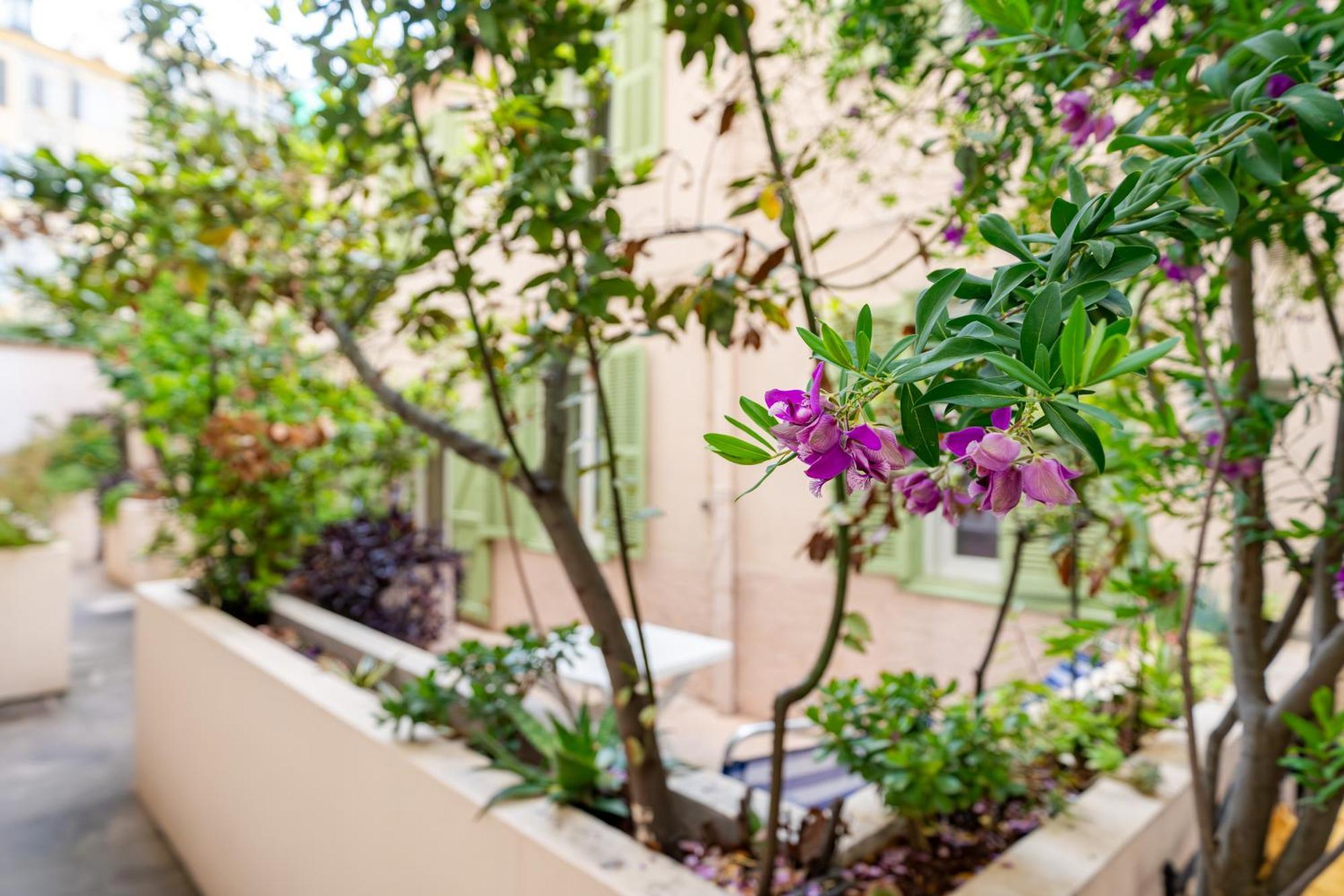 3 Pieces, Hyper-centre, Terrasse